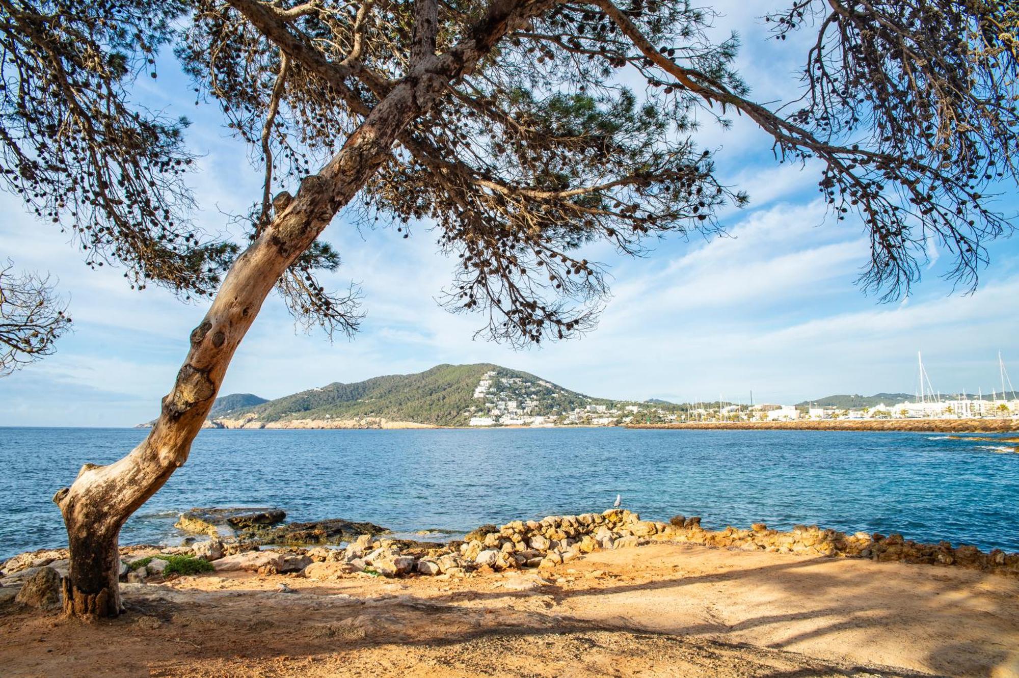 Apartamento Pierre & Ros Ibiza